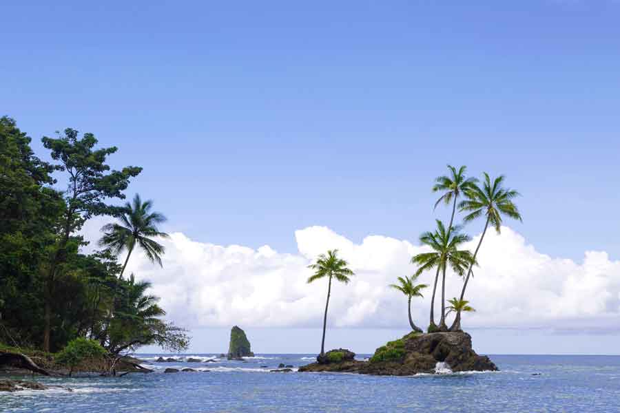 Parque Nacional Corcovado,
