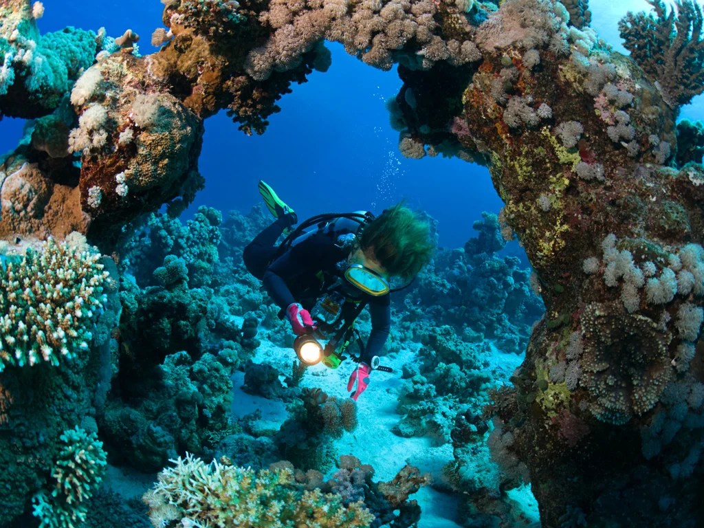 Belice buceo