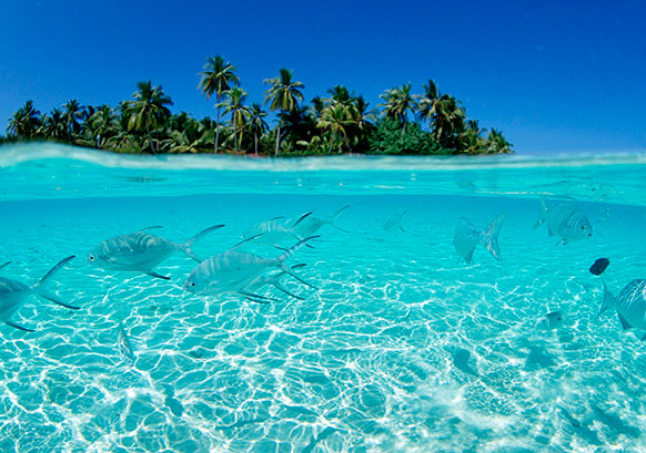 isla de la juventud cuba