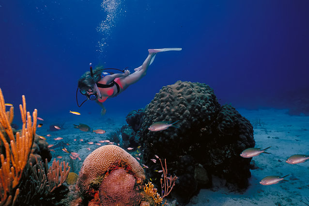 submarinismo caiman