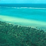 Belize reefs