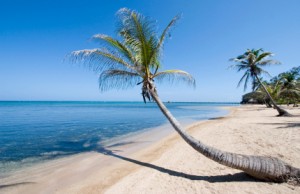 West Bay Beach Roatan Honduras