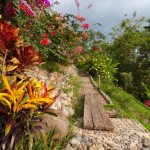 Beautiful Tropical Garden Costa Rica