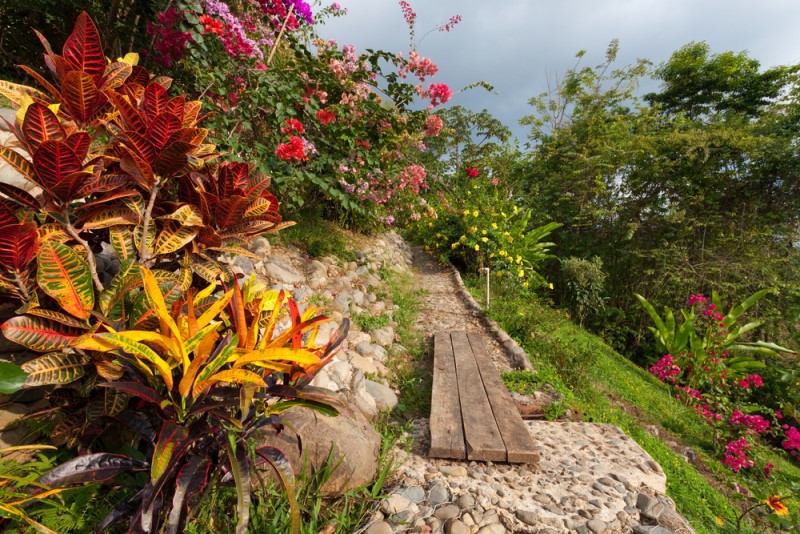 Beautiful Tropical Garden Costa Rica