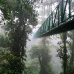 monteverde cloud forest costa rica