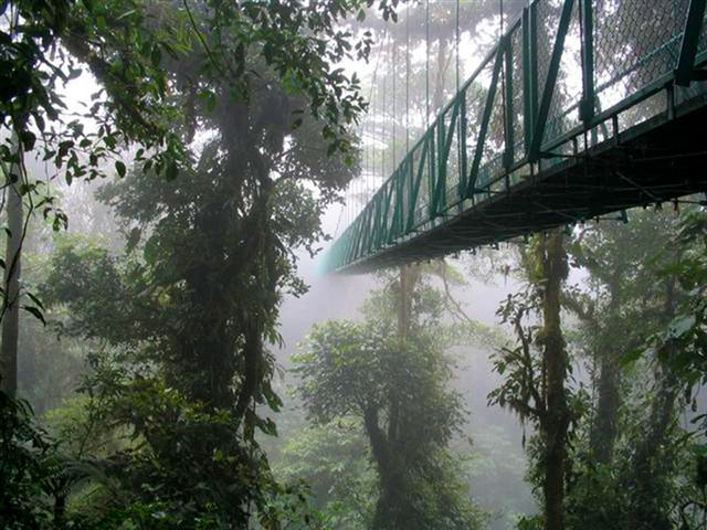 monteverde cloud forest costa rica