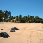 Beach El Cuco El Salvador