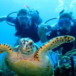 Diving in Roatán