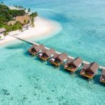 Trips to the Caribbean