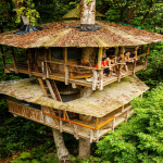 Colombia, Bellavista Farm
