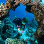 Belize diving