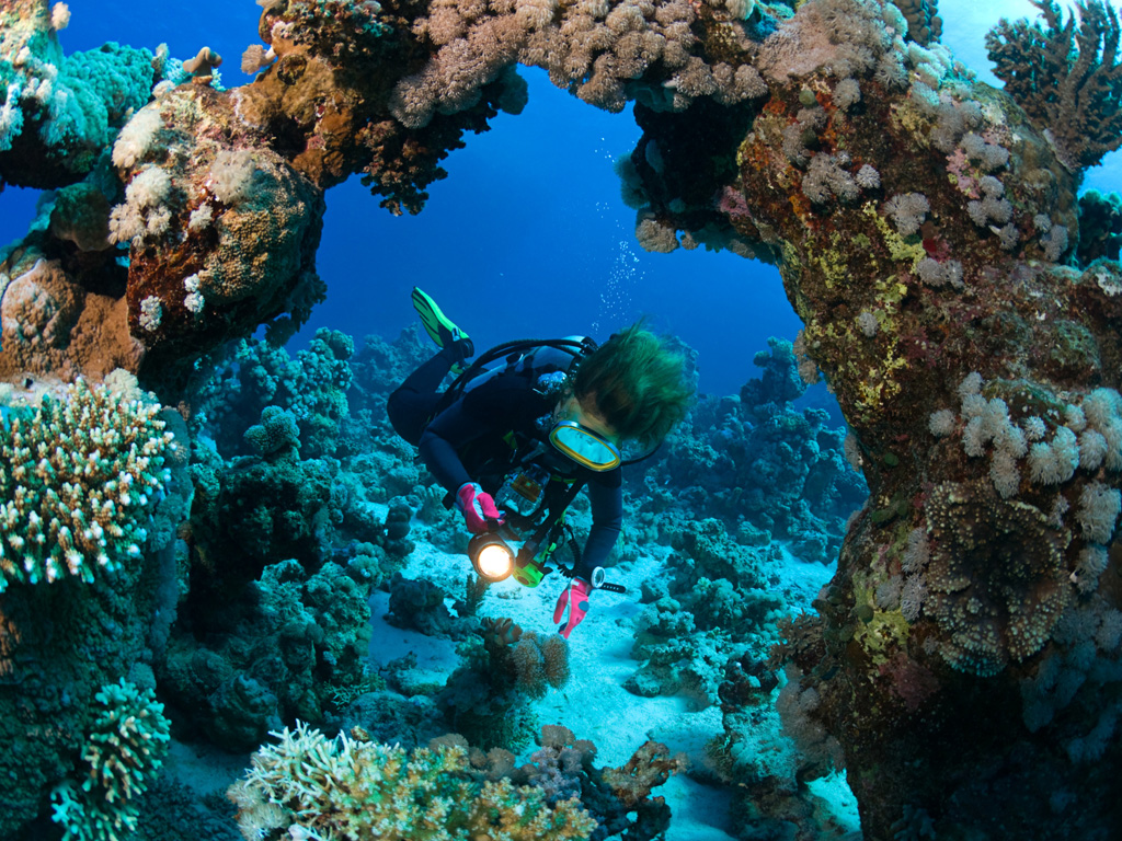 Belize diving